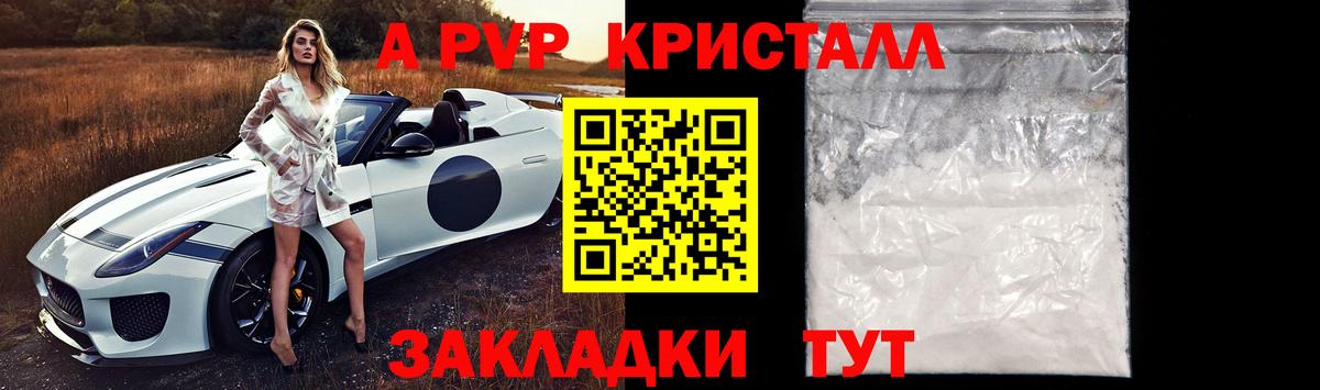 Альфа ПВП СК Санкт-Петербург