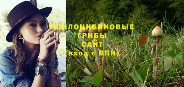 ешки Михайловск