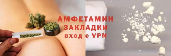 прущие грибы Ачинск