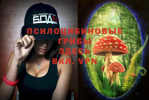 ешки Михайловск