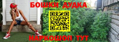 крисы Будённовск