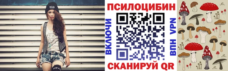 Галлюциногенные грибы Psilocybine cubensis Санкт-Петербург