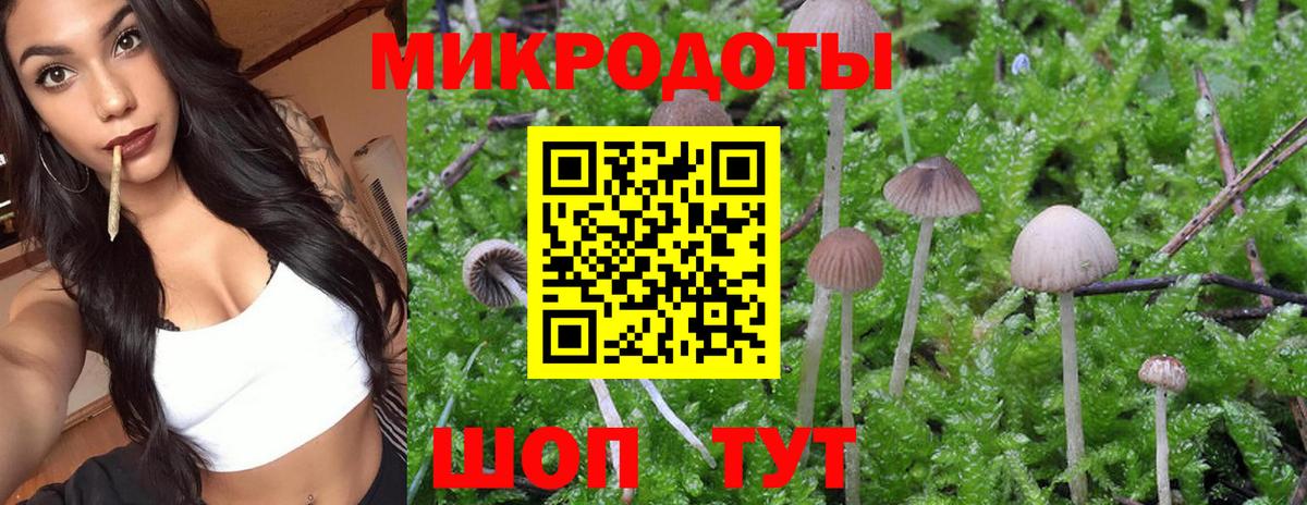 Галлюциногенные грибы мухоморы Санкт-Петербург
