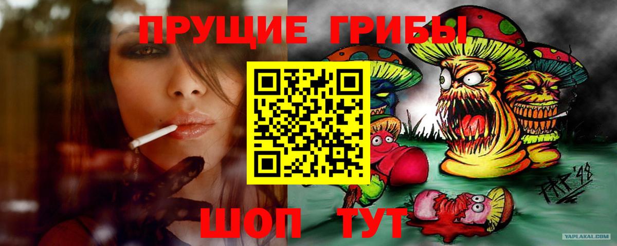 Галлюциногенные грибы Psilocybe  где купить наркотик  Санкт-Петербург 