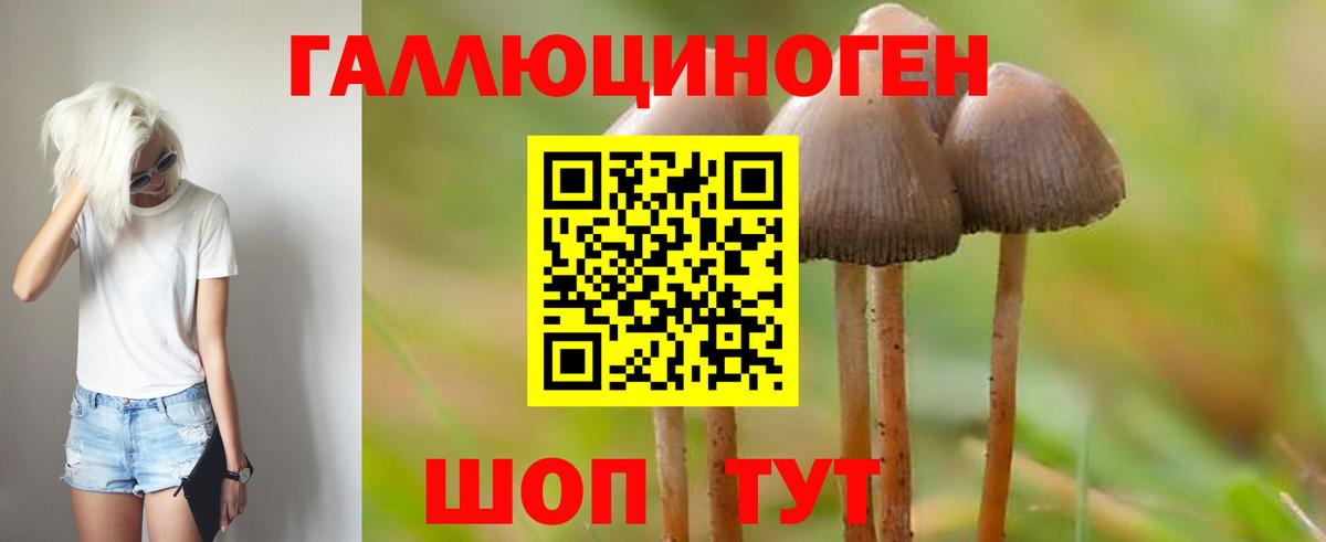 Санкт-Петербург  Галлюциногенные грибы ЛСД  купить наркотик  Галлюциногенные грибы мицелий  Вход с VPN 